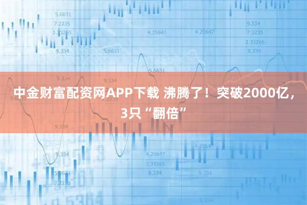 中金财富配资网APP下载 沸腾了！突破2000亿，3只“翻倍”