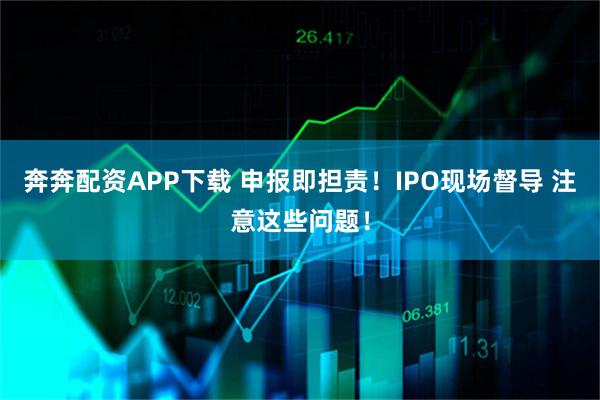 奔奔配资APP下载 申报即担责！IPO现场督导 注意这些问题！