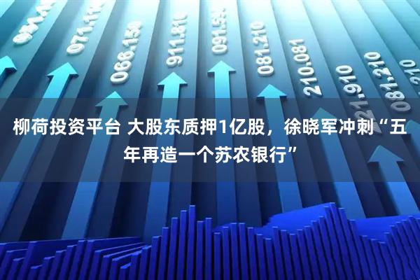 柳荷投资平台 大股东质押1亿股，徐晓军冲刺“五年再造一个苏农银行”