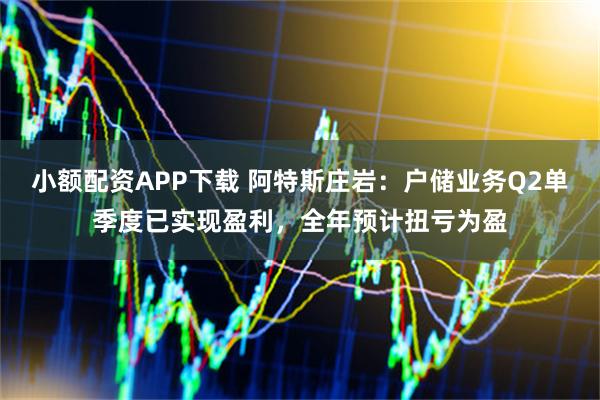 小额配资APP下载 阿特斯庄岩：户储业务Q2单季度已实现盈利，全年预计扭亏为盈